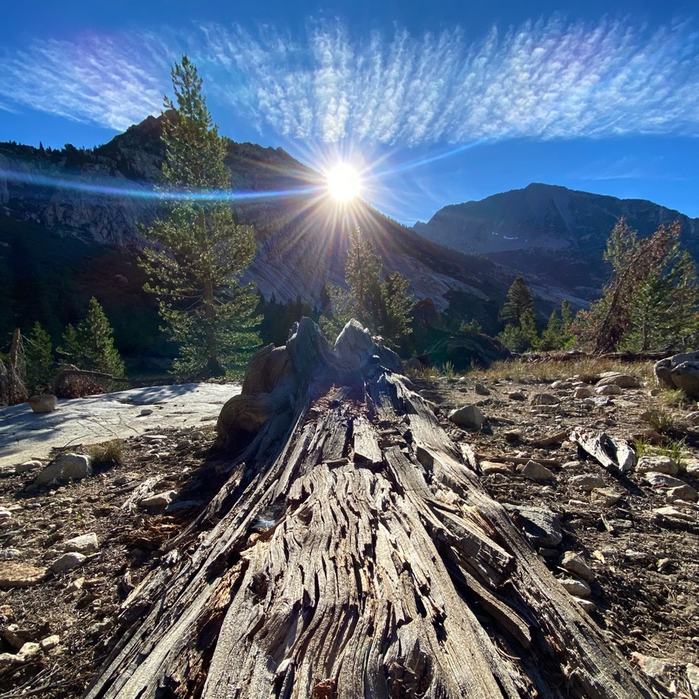 Meet your Posher, Rebekah